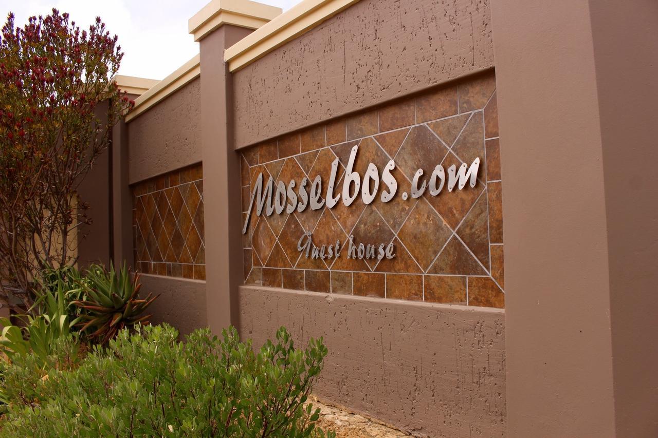 Mosselbos Guesthouse Self-Catering Great Brak River Bagian luar foto