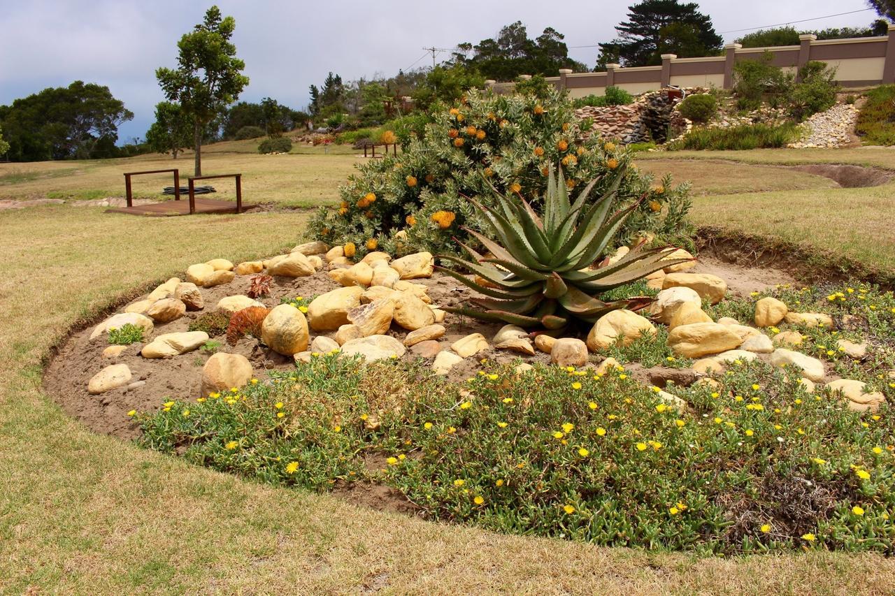 Mosselbos Guesthouse Self-Catering Great Brak River Bagian luar foto