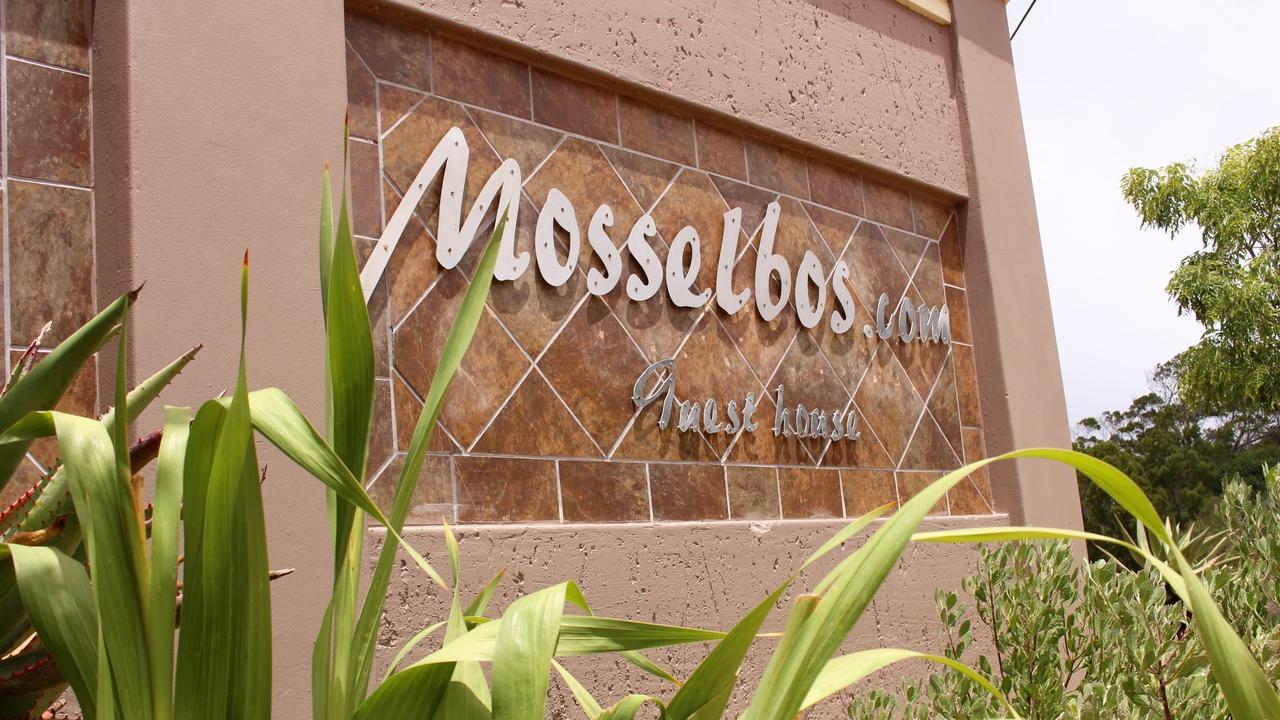 Mosselbos Guesthouse Self-Catering Great Brak River Bagian luar foto